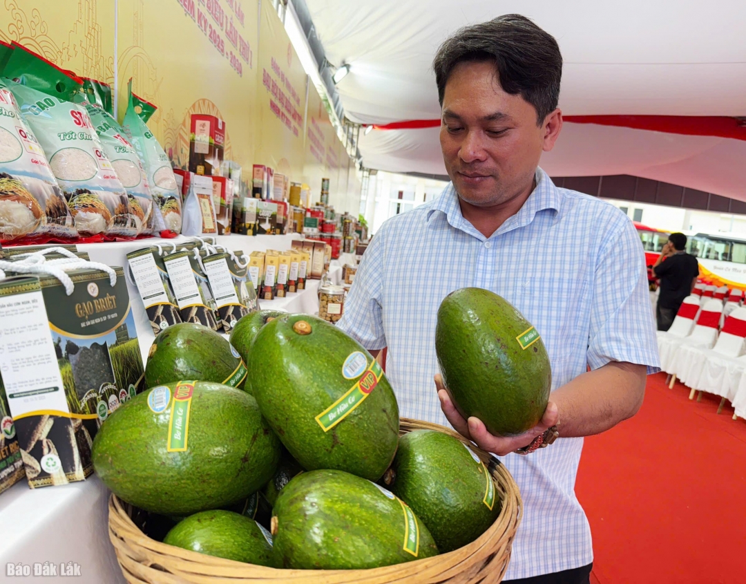 Các sản phẩm nông sản được giới thiệu tại gian trưng bày.
