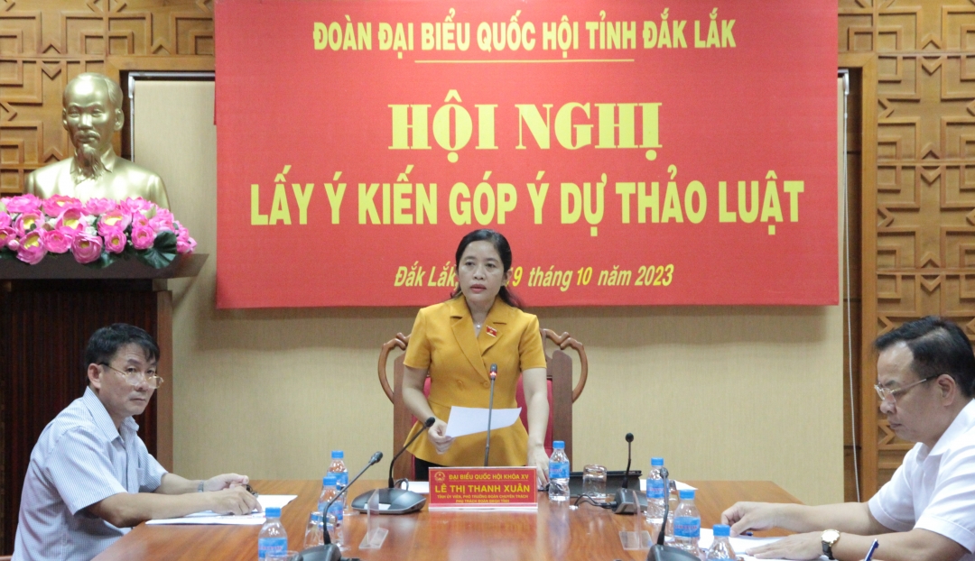 Phó Trưởng đoàn chuyên trách, phụ trách Đoàn ĐBQH tỉnh Lê Thị Thanh Xuân phát biểu tại hội nghị.