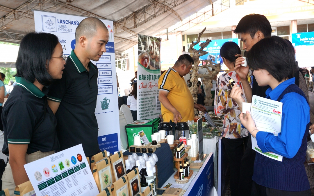 Trà thảo mộc và sản phẩm ứng dụng thảo mộc dựa trên Medical Herb Nhật Bản của thí sinh Chu Thị Lan (huyện Krông Pắk) 