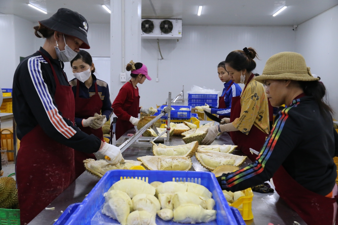 Thủ tướng Chính phủ yêu cầu các bộ, ngành, địa phương thực hiện quyết liệt các giải pháp tăng cường khả năng tiếp cận vốn tín dụng, tháo gỡ khó khăn cho hoạt động sản xuất kinh doanh 