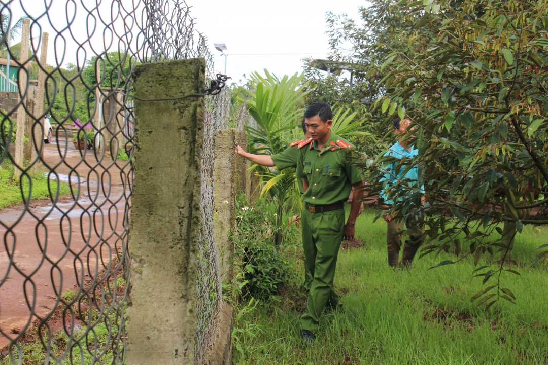 Công an xã Tân Lập (huyện Krông Búk) tuần tra, kiểm soát đảm bảo an ninh trong vụ thu hoạch sầu riêng trên địa bàn.