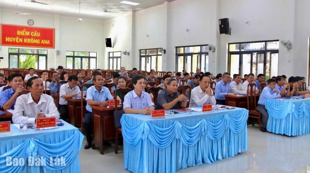 Các đại biểu tham dự hội nghị.