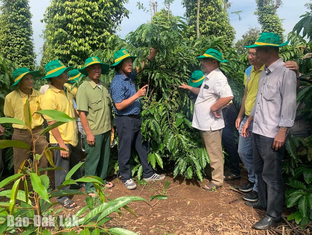  Nhà khoa học tư vấn, chia sẻ kỹ thuật cho bà con nông dân.