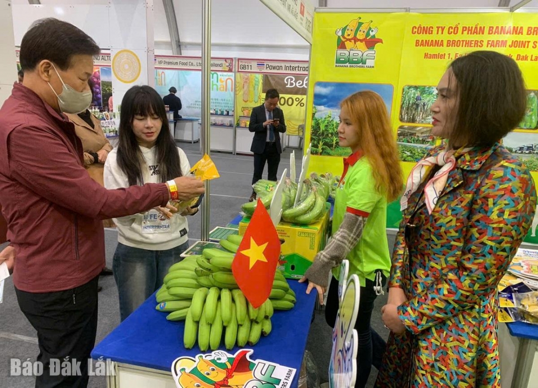 Khách hàng Hàn Quốc tìm hiểu sản phẩm chuối của doanh nghiệp Đắk Lắk.