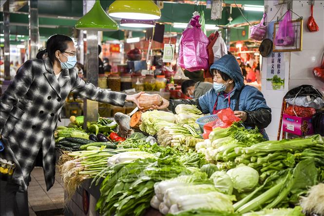 Người tiêu dùng mua sắm tại chợ ở Khu tự trị dân tộc Choang Quảng Tây, Trung Quốc. Ảnh: THX/TTXVN