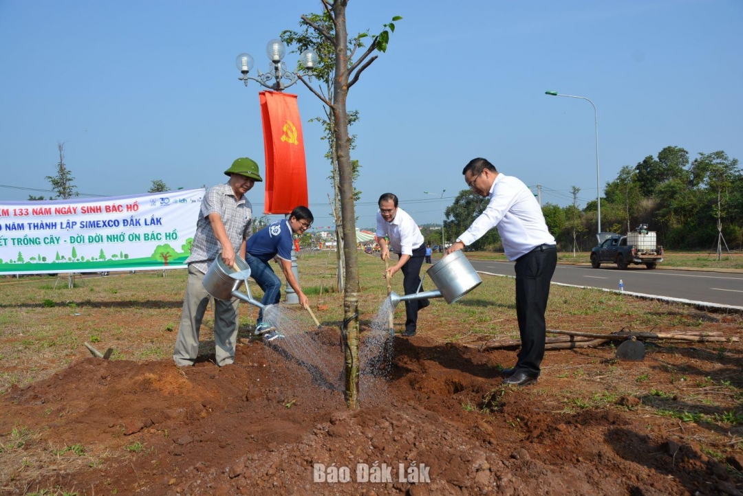 Lãnh đạo và cán bộ TP. Buôn Ma Thuột trồng cây xanh trên tuyến đường Đông Tây thành phố.