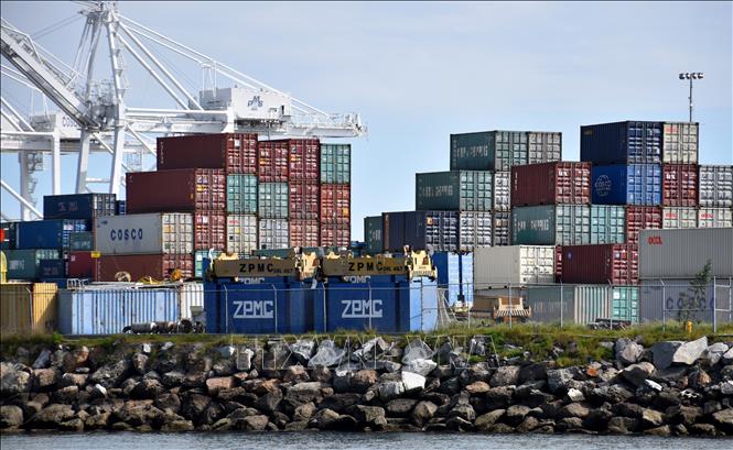 Các container hàng hóa của hãng vận tải Trung Quốc COSCO tại cảng Long Beach, bang California, Mỹ. Ảnh: TTXVN
