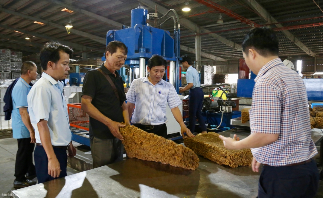 các đại biểu cũng đã đến thăm, khảo sát thực tế tại Nhà máy chế biến cao su