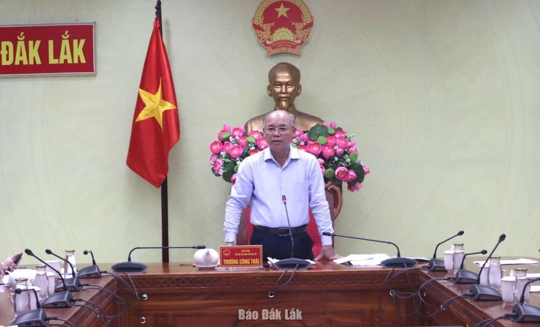 Phó Chủ tịch UBND tỉnh Trương Công Thái phát biểu kết luận cuộc họp.