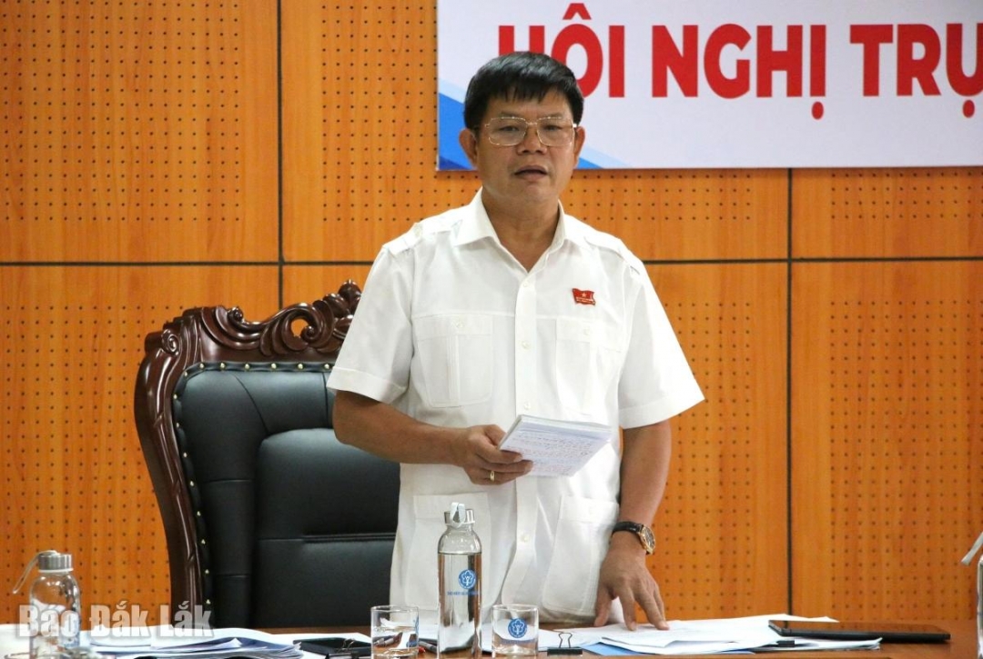 Trưởng Ban Văn hóa - Xã hội HĐND tỉnh Lê Văn Cường phát biểu kết luận buổi làm việc.