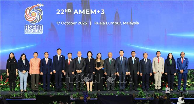Các đại biểu tại Hội nghị Bộ trưởng Năng lượng ASEAN+3. Ảnh: TTXVN phát