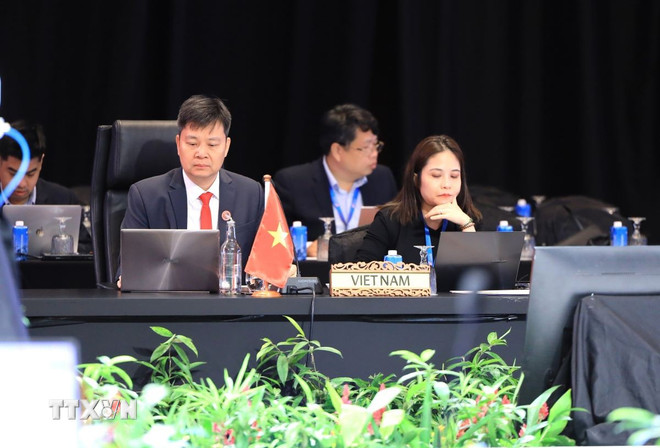 Đoàn Việt Nam tại cuộc họp quan chức cấp cao về năng lượng của ASEAN. Ảnh: TTXVN 