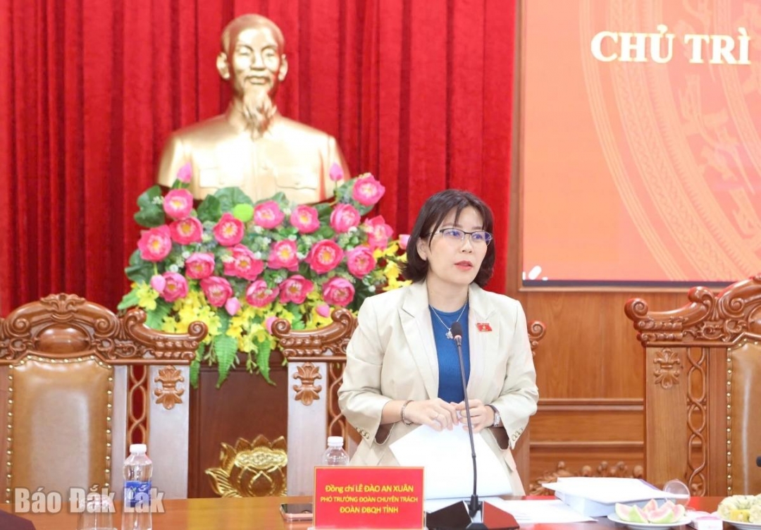 Phó Trưởng đoàn chuyên trách Đoàn ĐBQH tỉnh Lê Đào An Xuân phát biểu kết luận hội nghị.