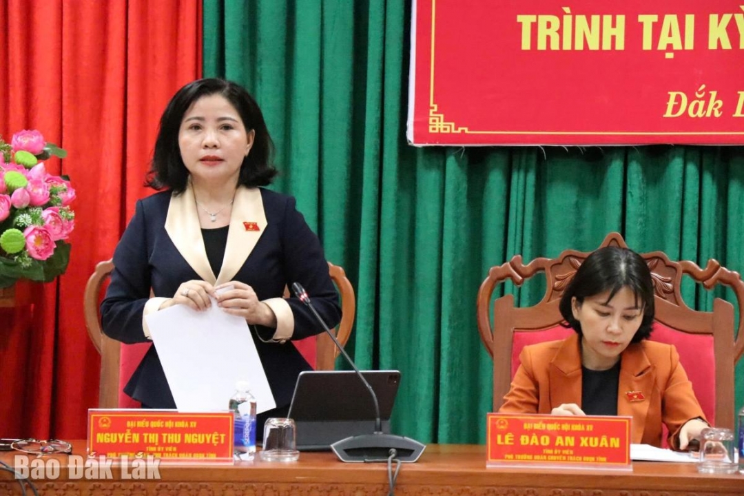 Phó Trưởng Đoàn chuyên trách phụ trách Đoàn ĐBQH tỉnh Nguyễn Thị Thu Nguyệt phát biểu kết luận.