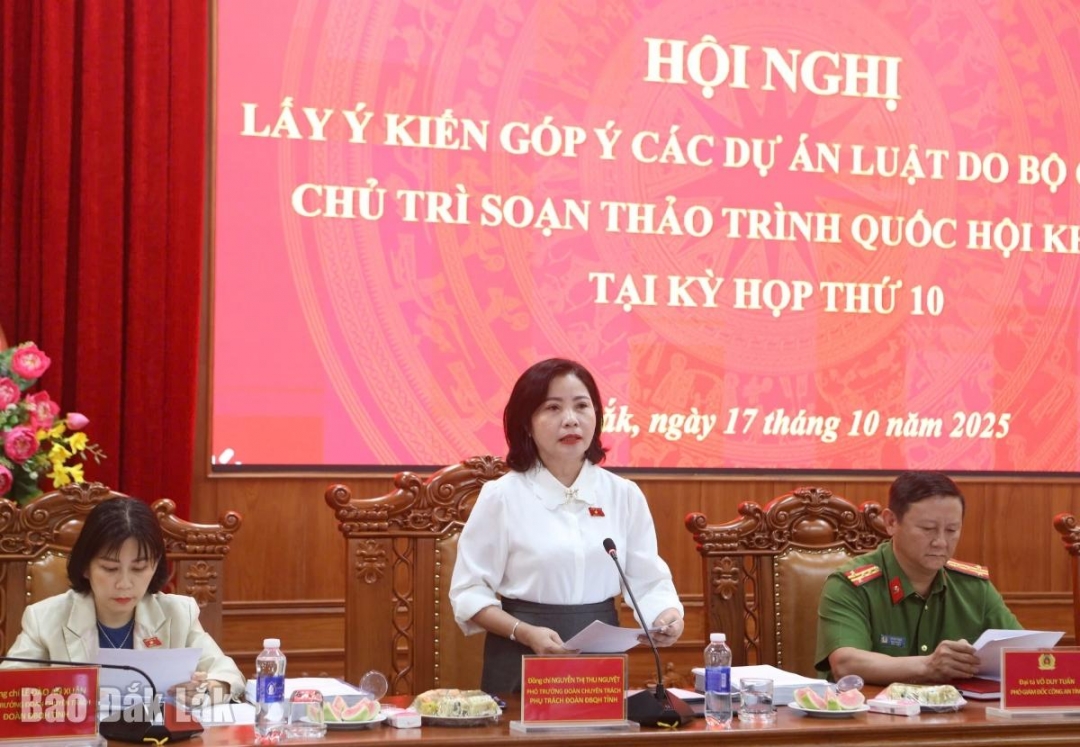 Phó Trưởng đoàn chuyên trách phụ trách Đoàn ĐBQH tỉnh Nguyễn Thị Thu Nguyệt phát biểu khai mạc hội nghị.