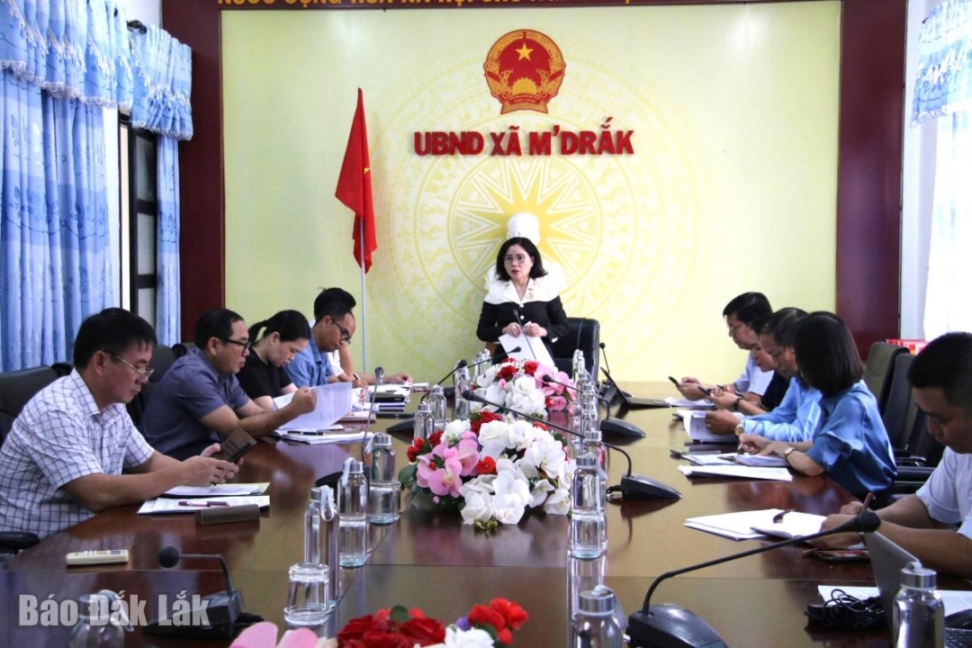 Phó Trưởng đoàn chuyên trách phụ trách Đoàn ĐBQH tỉnh Nguyễn Thị Thu Nguyệt phát biểu tại buổi làm việc.