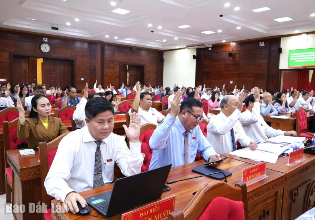 Đại biểu biểu quyết thông qua các nghị quyết.