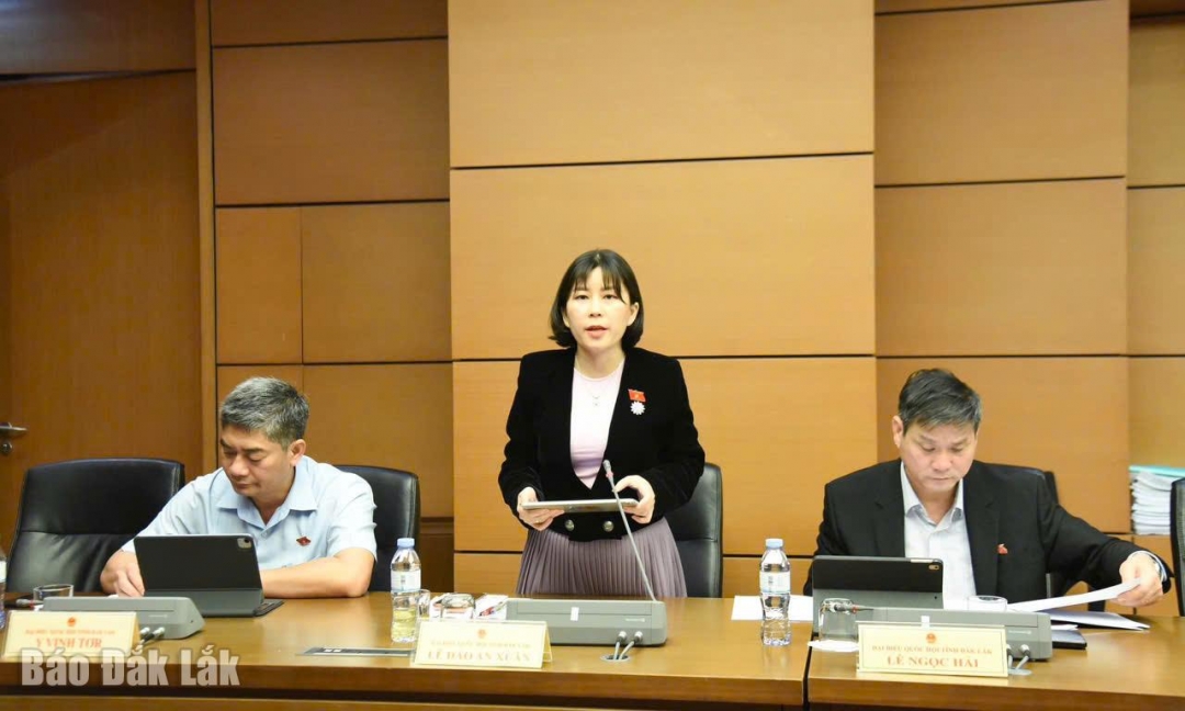 Đại biểu Lê Đào An Xuân, Phó Trưởng Đoàn chuyên trách Đoàn ĐBQH tỉnh Đắk Lắk thảo luận tại phiên làm việc. (Ảnh Đoàn ĐBQH tỉnh cung cấp)