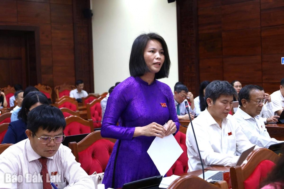Đại biểu Tạ Thị Thu Hương, Phó Trưởng Ban Văn hóa - Xã hội, HĐND tỉnh phát biểu thảo luận tại kỳ họp.