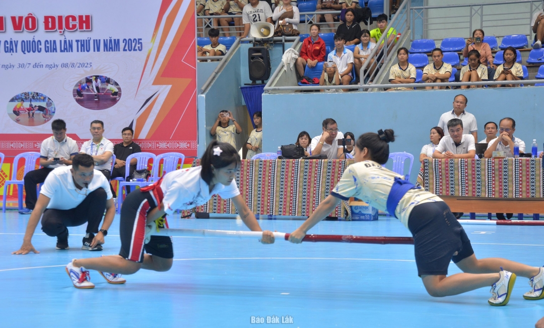 Các vận động viên thi đấu tại