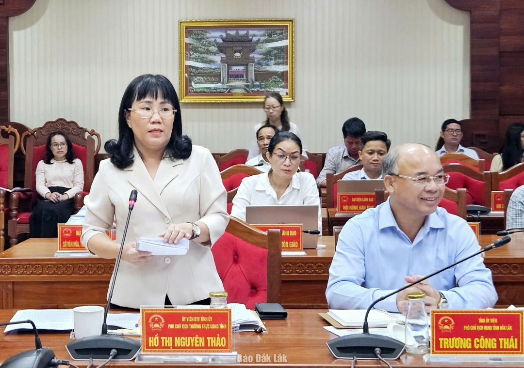 Phó Chú tich Thường trực UBND tỉnh Hồ Thị Nguyên Thảo phát biểu tại hội nghị.