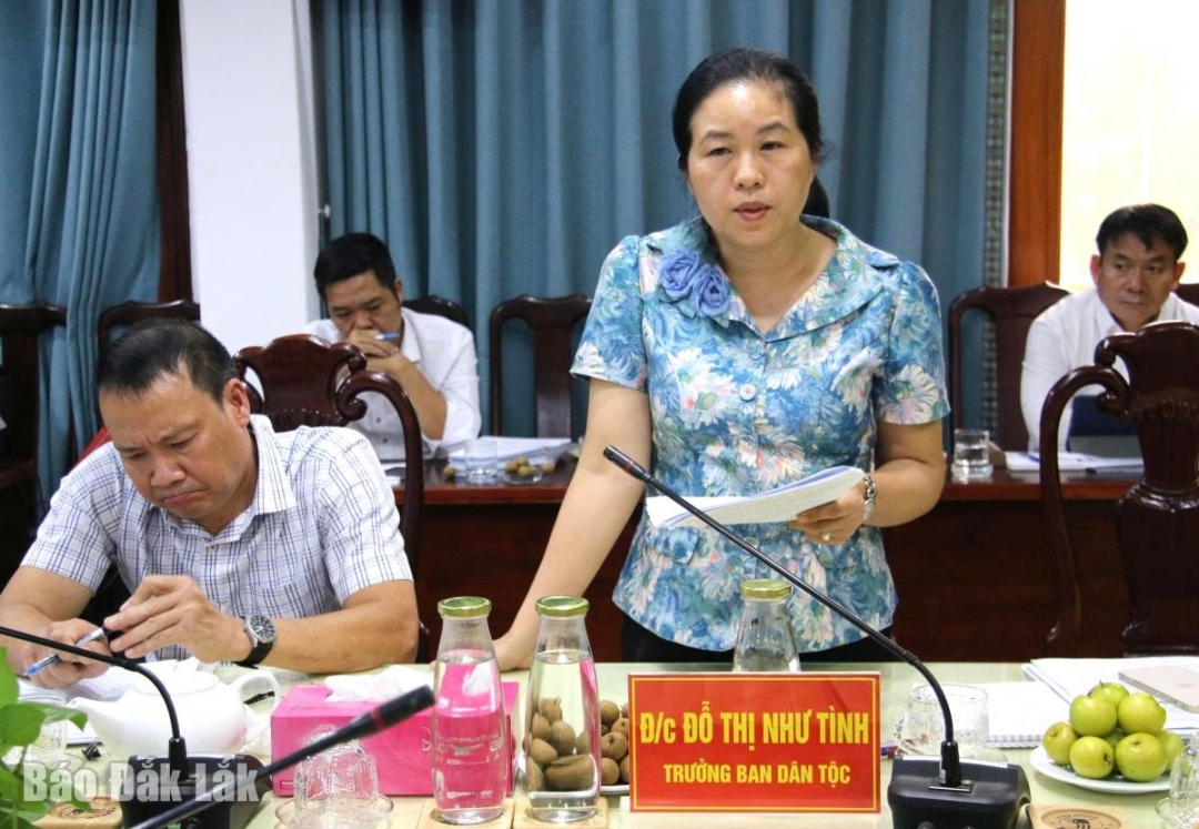 Trưởng Ban Dân tộc HĐND tỉnh Hồ Thị Như Tình phát biểu tại buổi làm việc.