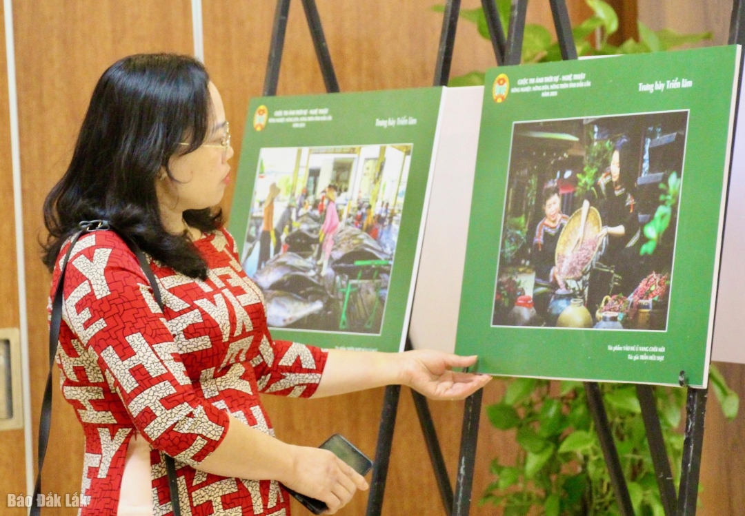 Đại biểu tham quan