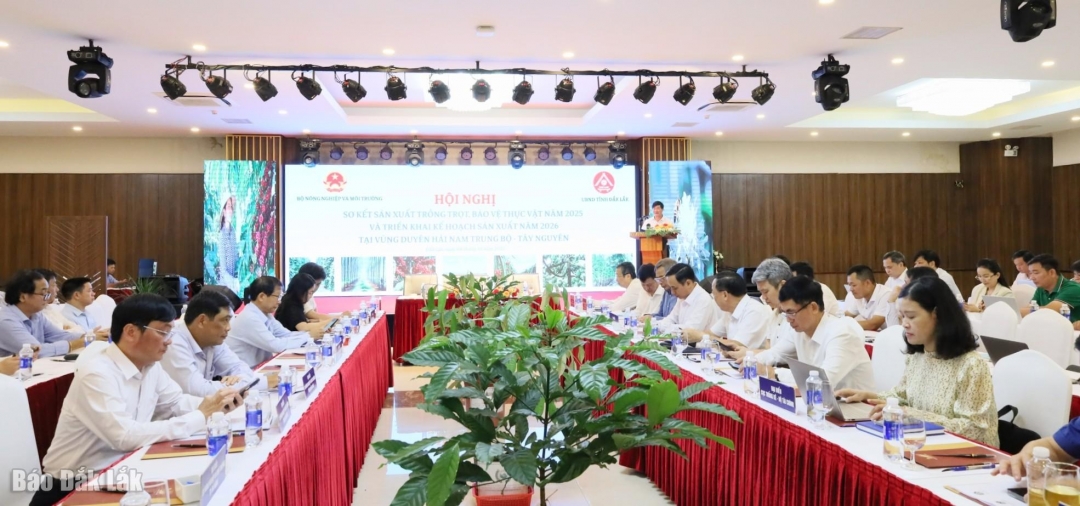 Các đại biểu tham dự hội nghị.