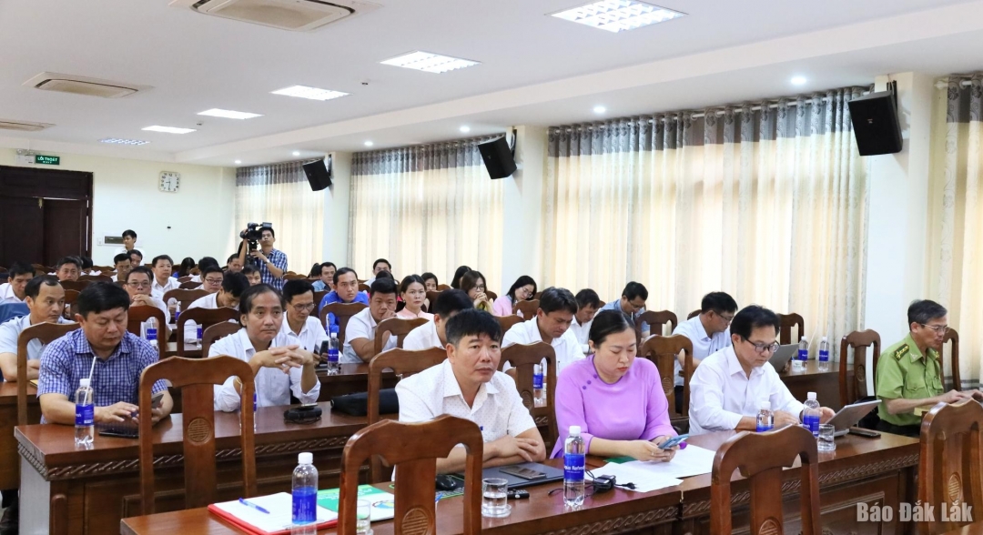 Các đại biểu tham dự hội nghị.