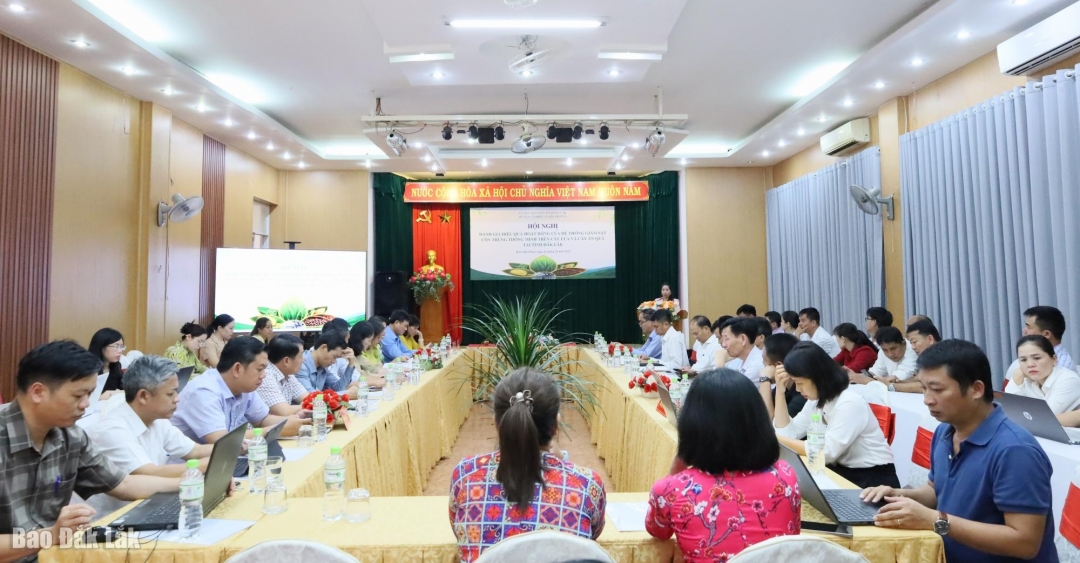 Các đại biểu tham dự hội nghị.