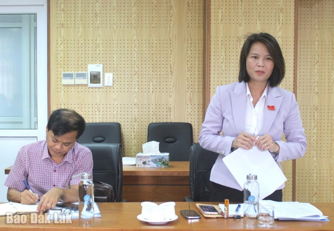 Phó Trưởng Ban Văn hóa - Xã hội HĐND tỉnh Tạ Thị Thu Hương phát biểu tại buổi làm việc.
