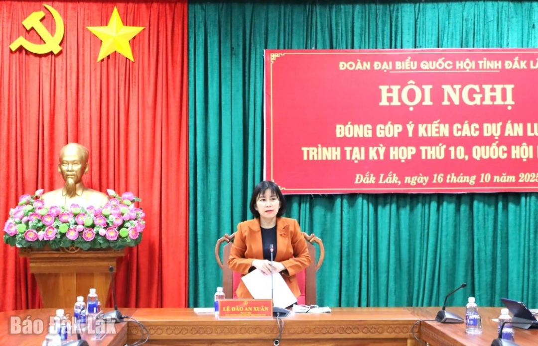Phó Trưởng Đoàn chuyên trách Đoàn đại biểu Quốc hội tỉnh Lê Đào An Xuân phát biểu kết luận.