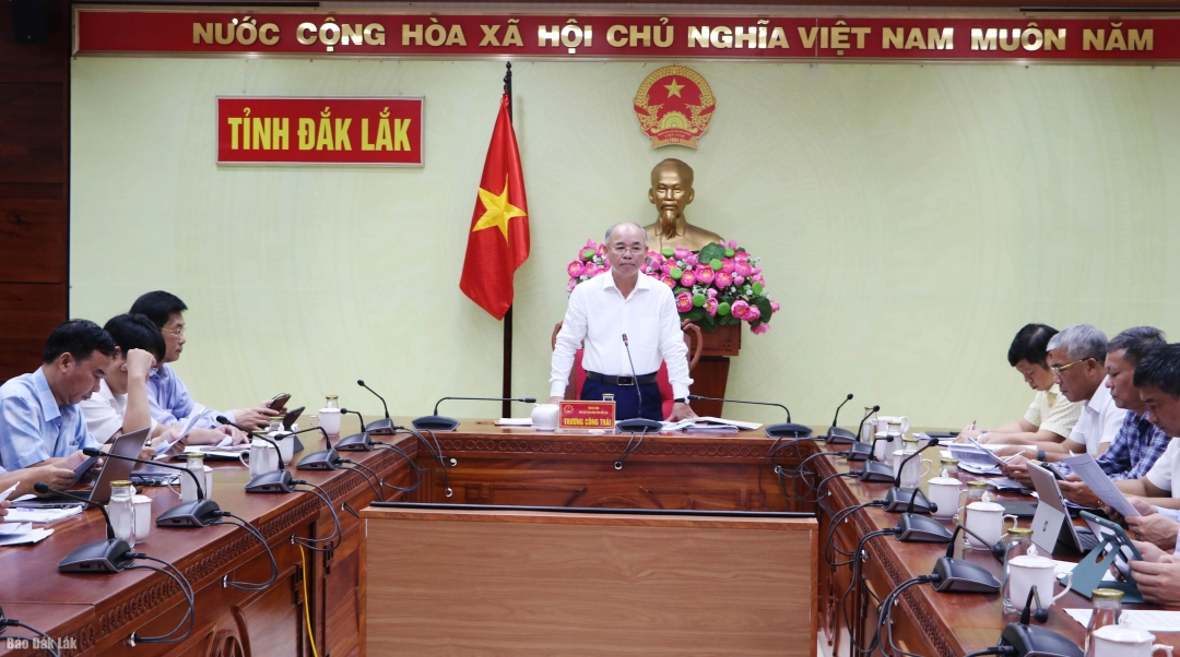 Tỉnh ủy viên, Phó Chủ tịch UBND tỉnh Trương Công Thái chủ trì buổi làm việc