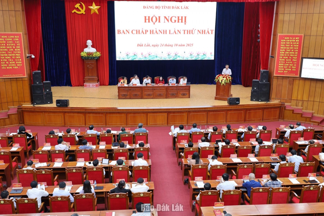 Các đại biểu tham luận tại hội nghị.