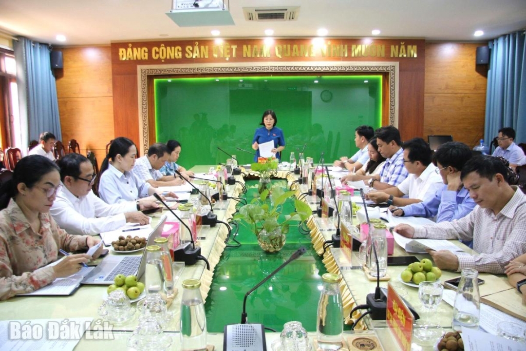 Đại biểu tham dự buổi làm việc.