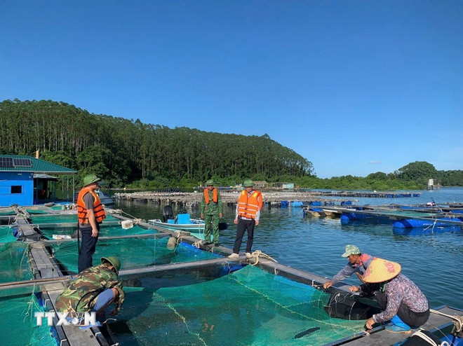 Chằng chống lồng bè và sơ tán người dân lên bờ tránh bão. Ảnh: TTXVN 