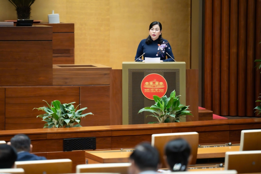 Chủ nhiệm Ủy ban Khoa học, Công nghệ và Môi trường Nguyễn Thanh Hải trình bày Báo cáo thẩm tra. Ảnh: quochoi.vn