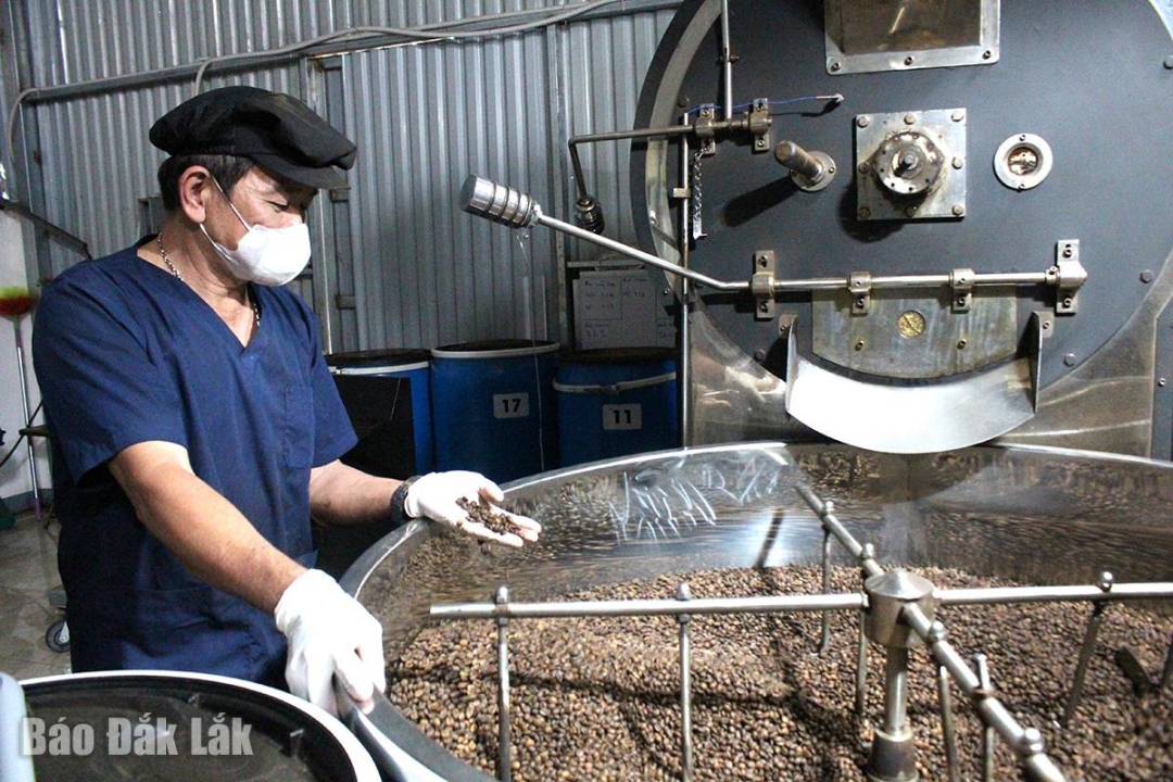 Sản xuất cà phê tại Công ty TNHH Sản xuất - Thương mại – Dịch vụ Cà phê Trung Hòa.