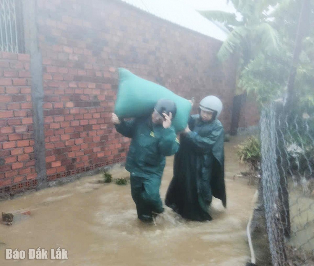 Di dời lúa giúp người dân.
