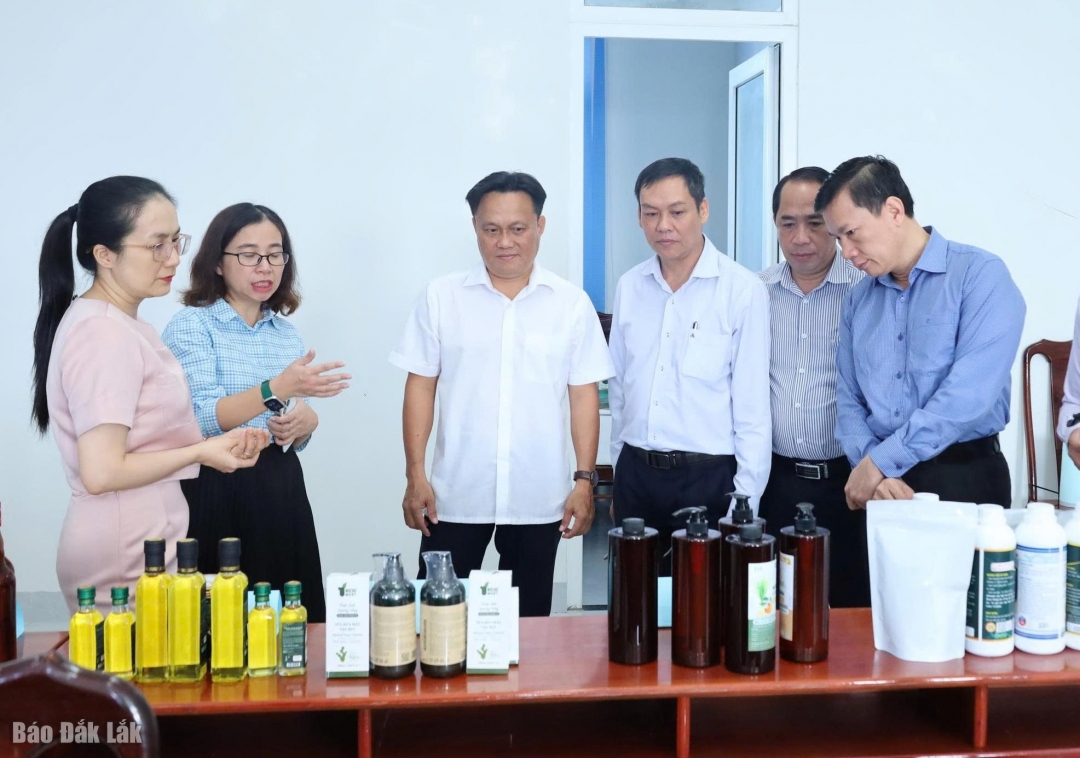 Hội đồng bình chọn trực tiếp xem, đánh giá sản phẩm.