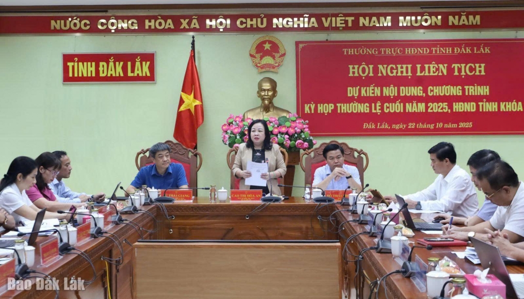 Phó Bí thư Thường trực Tỉnh ủy, Chủ tịch HĐND tỉnh Cao Thị Hòa An phát biểu kết luận.