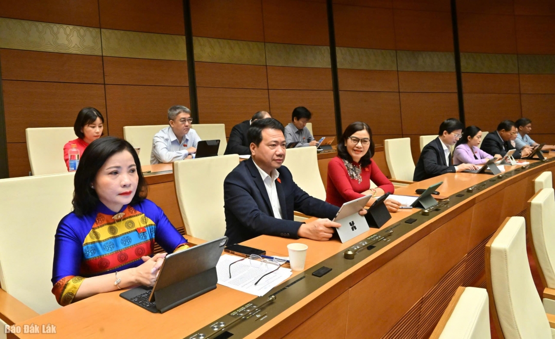 Đoàn ĐBQH tỉnh Đắk Lắk tham dự phiên làm việc. (Ảnh Đoàn ĐBQH tỉnh cung cấp)