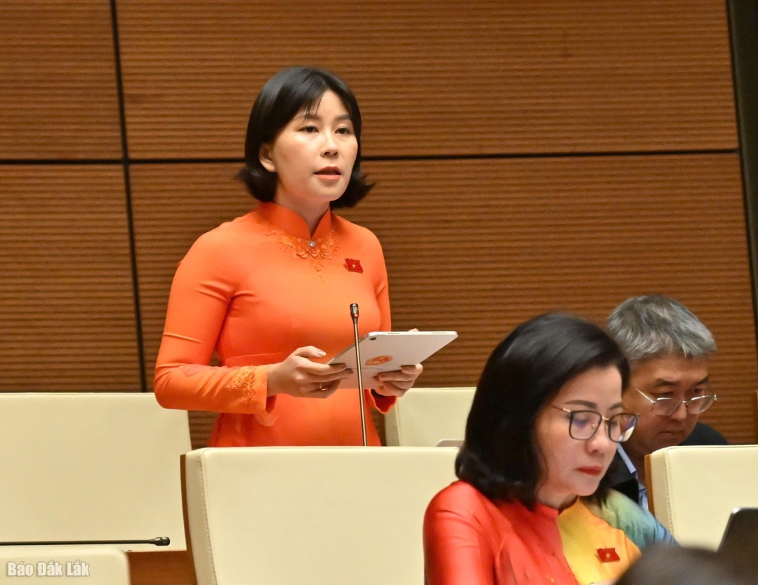 Phó Trưởng đoàn chuyên trách Đoàn ĐBQH tỉnh Lê Đào An Xuân phát biểu thảo luận. (Ảnh Đoàn ĐBQH tỉnh cung cấp)