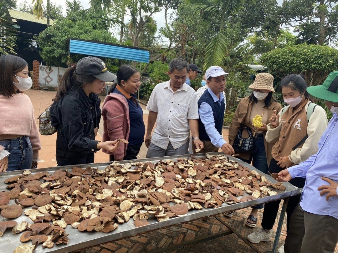 Cán bộ, hội viên nông dân 