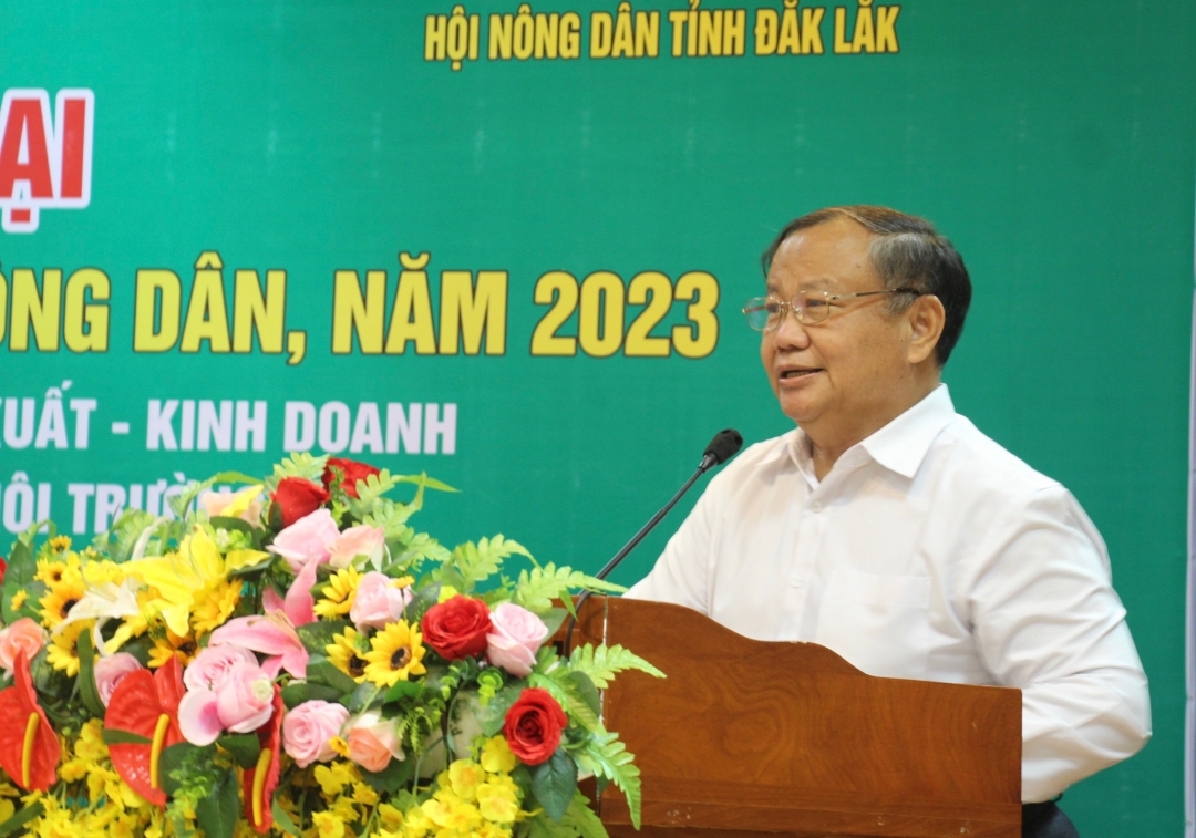 Phó Chủ tịch Trung ương Hội Nông dân Việt Nam Đinh Khắc Đính phát biểu tại Hội nghị.