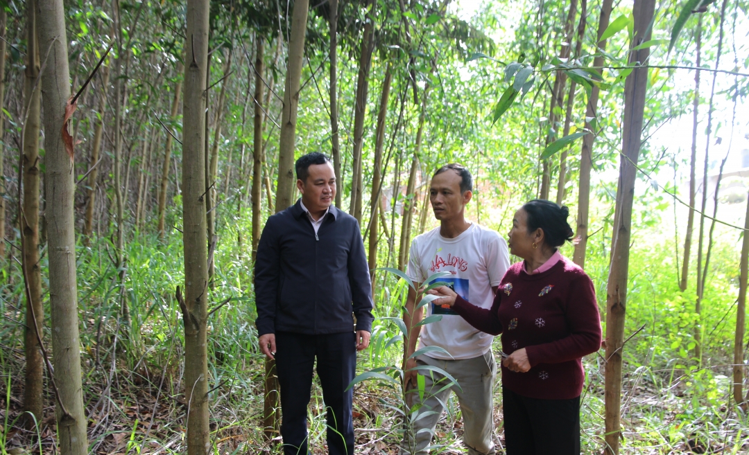 Cán bộ Phòng giao dịch NHCSXH huyện M’Drắk kiểm tra tính hiệu quả vốn vay giải quyết việc làm tại gia đình anh Đào Văn Hữu (tổ dân phố 4, thị trấn M’Drắk). 