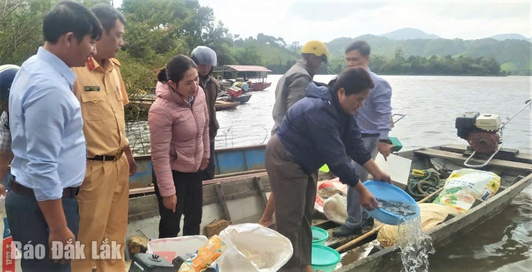 Cán bộ Chi cục Thủy sản Đắk Lắk và chính quyền địa phương thả cá giống tại đập Buôn Triết (huyện Lắk). 