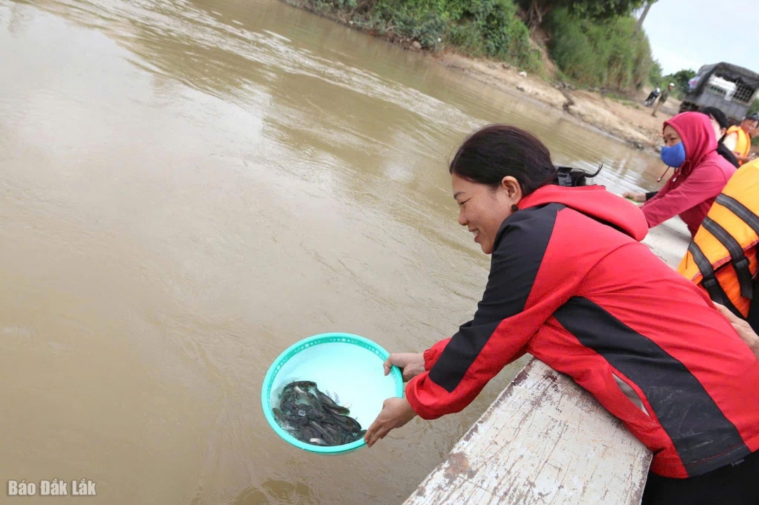 Đại biểu thả cá