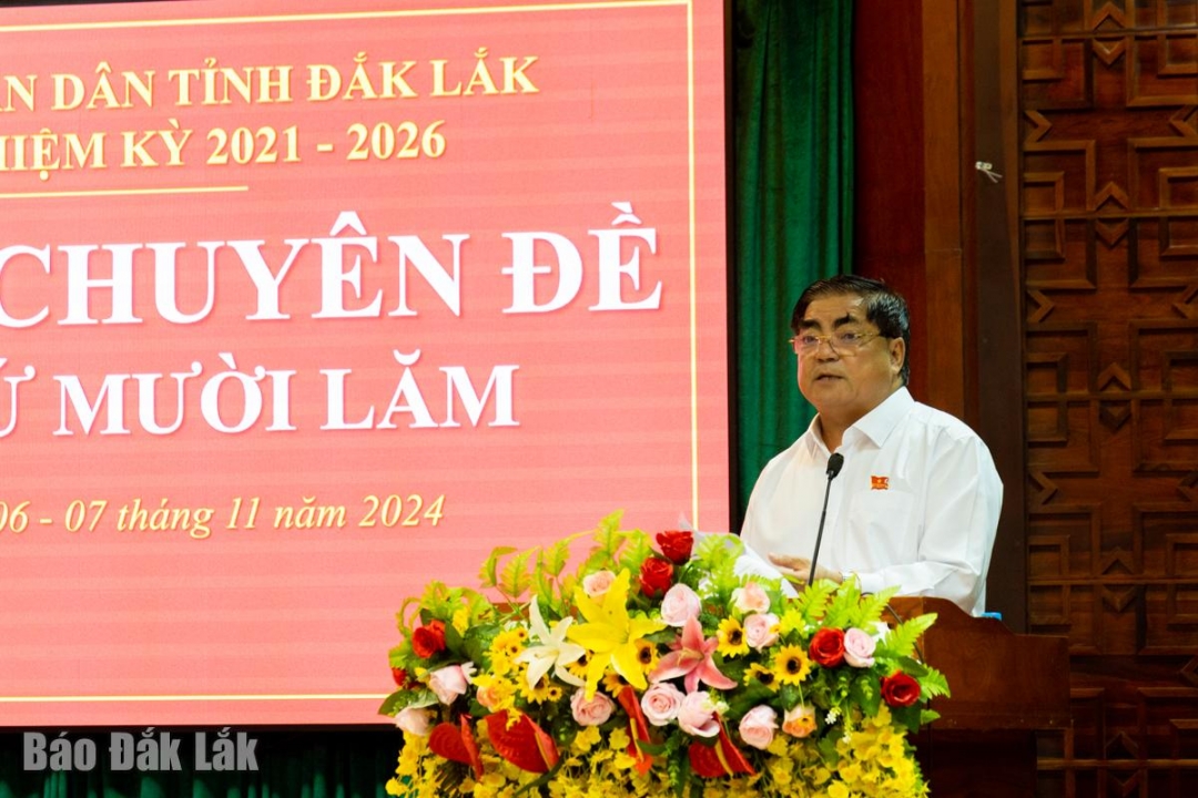 Giám đốc Sở Kế hoạch và Đầu tư Võ Ngọc Tuyên trình bày tờ trình tại phiên làm việc. Ảnh: Hoàng Gia
