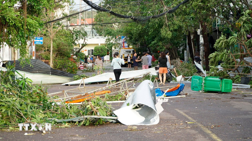 Bão số 13 làm nhiều cây xanh tại Quy Nhơn bị ngã đổ. (Ảnh: Đình Quân/TTXVN)
